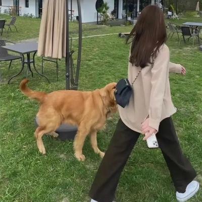 病毒可不讲道德